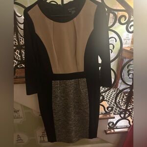 Elegant Black and Tan Dress